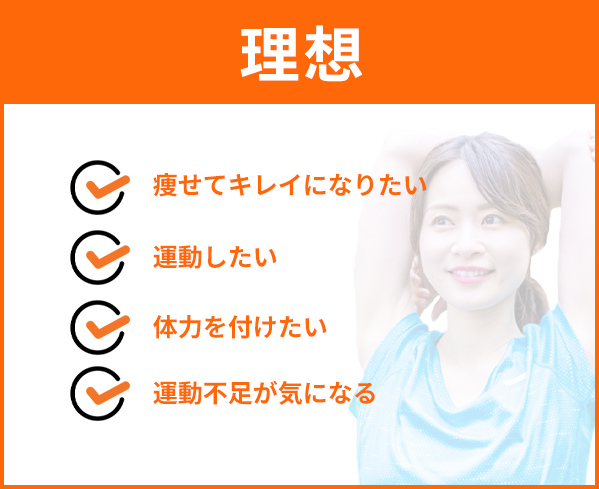 理想